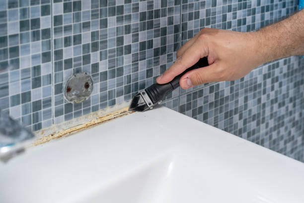 Best Mold Damage Repair  in Pimlico, SC